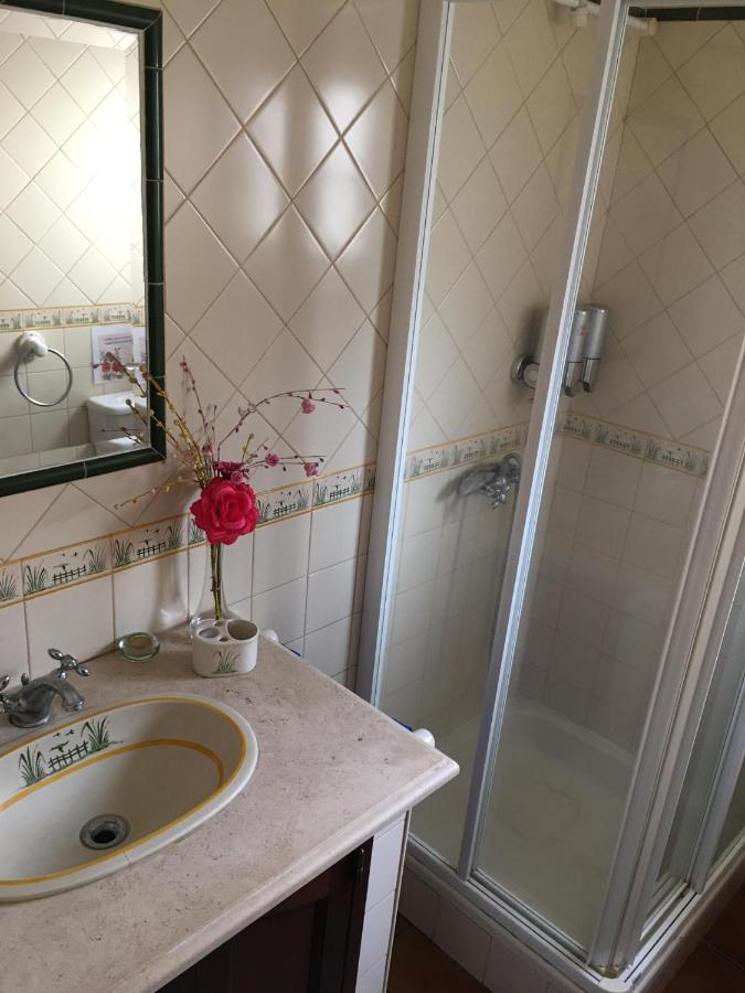 Guest House Ribatejo Салватерра-ди-Магуш Экстерьер фото
